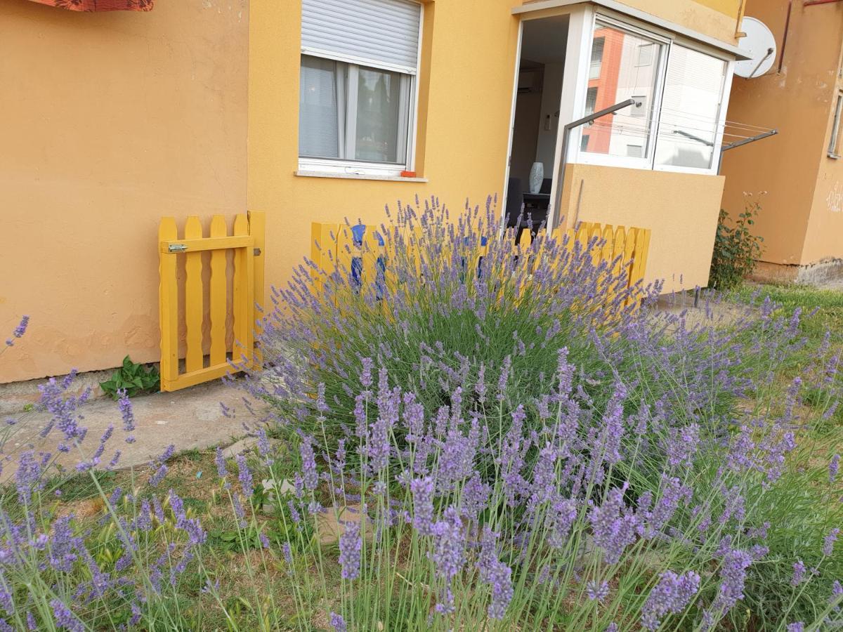 Lav Appartement Rovinj Buitenkant foto